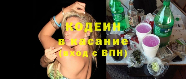 соль ск Белокуриха