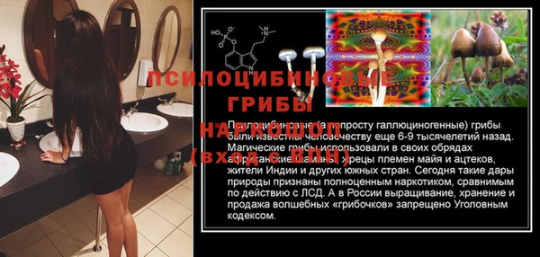соль ск Белокуриха