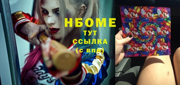 соль ск Белокуриха