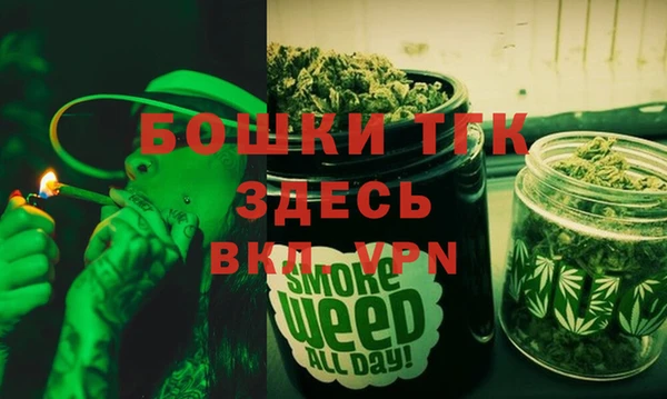 соль ск Белокуриха